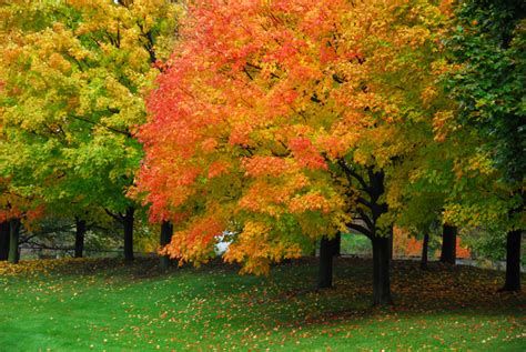 We did not find results for: Best Places for Fall Colours in Ontario