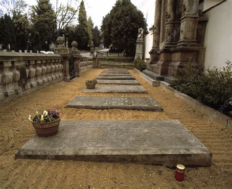 Gregor Mendel's grave - Stock Image - H413/0294 - Science Photo Library