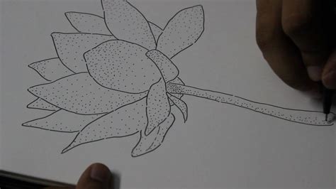 Stippling Drawing Idea Easy Dotwork Flower Youtube