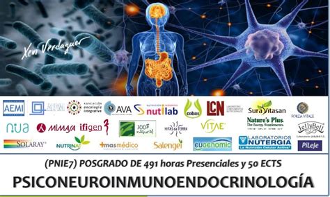 Posgrado De Psiconeuroinmunoendocrinología En Madrid Shc Medical