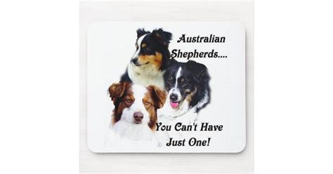 Australian Shepherds Mouse Pad Zazzle