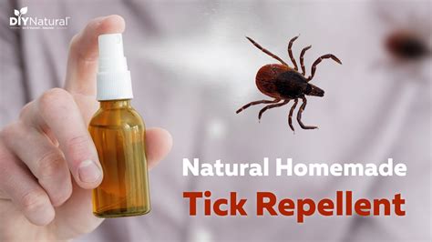 Natural Homemade Tick Repellent That Works Youtube