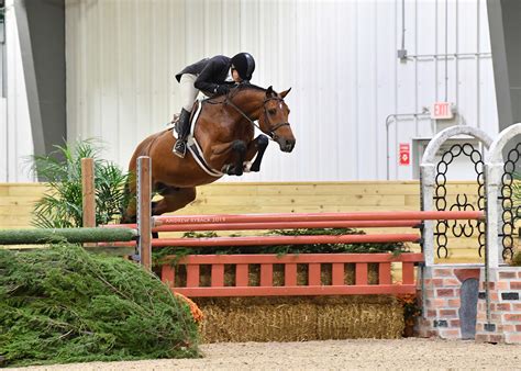 Greg Crolick And Corallo Z Take Top Honors In The USHJA International Hunter Derby