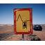 Weird Road Signs Contest Which One Is Wackiest  TODAYcom