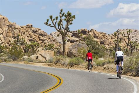 13 Amazing Joshua Tree National Park Attractions And Things To Do