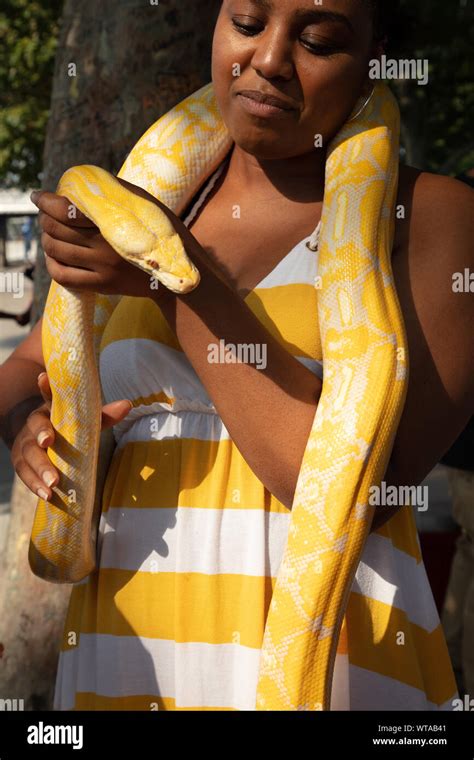 Woman Holds Anaconda Snake Hi Res Stock Photography And Images Alamy