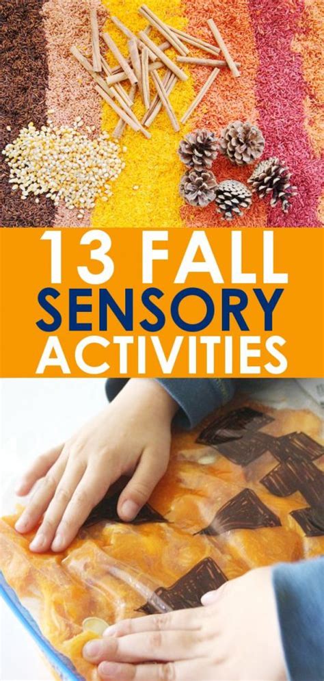 Here are 11 sensory activities for toddlers that are either free or very inexpensively put together! 13 Sensory Activies for Fall - Perfect for Toddlers or ...