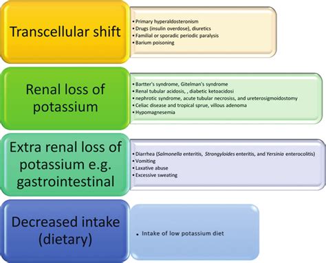 Differential Diagnosis Of Hypokalemia Based On Types And Causes Of
