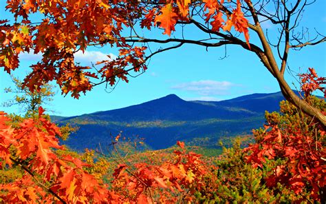 White Mountains New Hampshire Technicolor Foliage