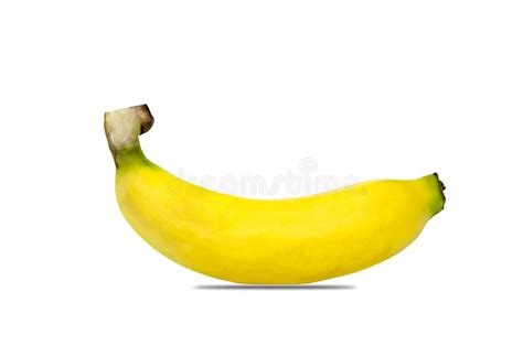 Two Yellow Ripe Bananas Or Pisang Mas Sweet Fruit Isolated On White