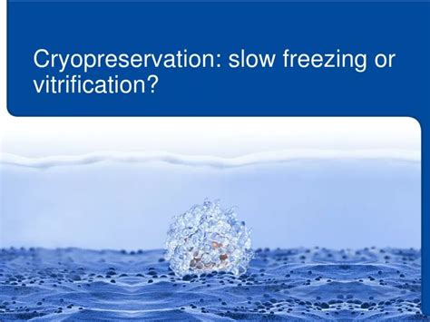 Ppt Cryopreservation Slow Freezing Or Vitrification Powerpoint Presentation Id9688338