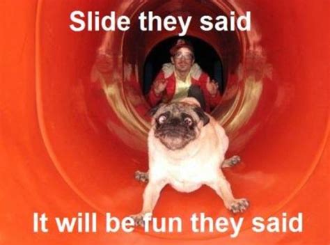 Slide They Said It Will Be Fun They Said Know Your Meme