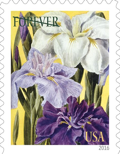 Usa Issue Botanical Art Forever Stamps All About Stamps