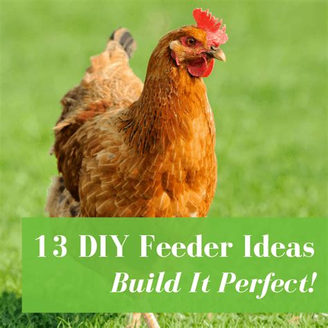Diy no waste chicken feeder bin. 13 Chicken Feeder Ideas: No-Waste, PVC, & More! | Pampered Chicken Mama | Chicken feeders ...
