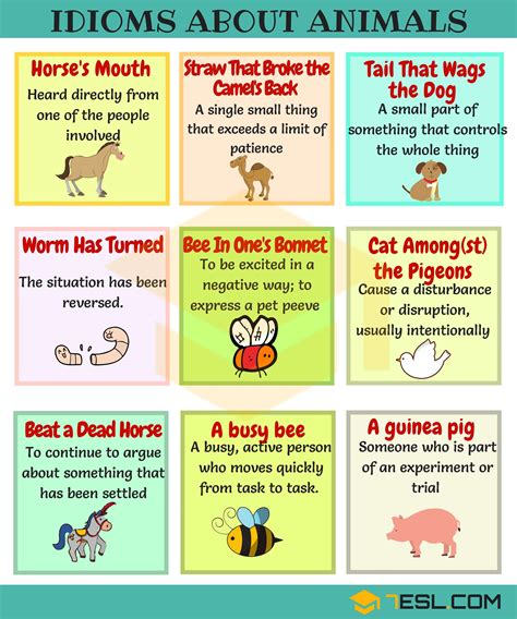 Animal Idioms 165 Useful Animal Idioms From A Z 7esl