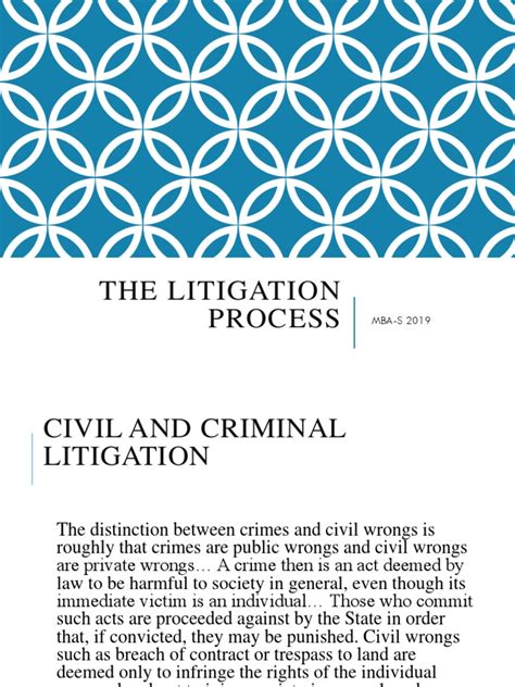 The Litigation Process Mba S 2019 Pdf Burden Of Proof Law Lawsuit