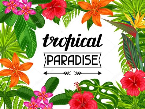 Fiori immagini gratis per facebook e whatsapp. Carta paradiso tropicale con foglie stilizzate e fiori ...