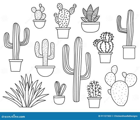 Cactus Vector Set Hand Drawn Collection Of Various Succulents And
