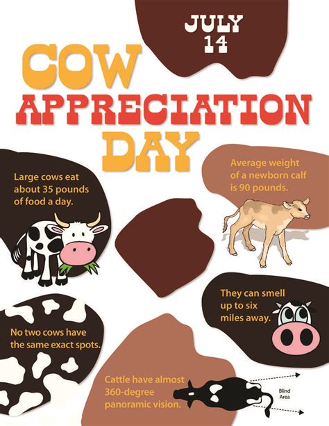Fun Facts Cow Appreciation Day Dairy Cow Facts Cow Facts