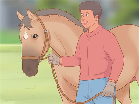 How To Meet A Horse For The First Time 9 Steps With Pictures
