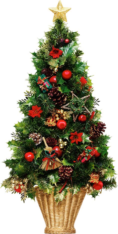 Transparent png images, graphics or psd files. Christmas tree PNG images free download