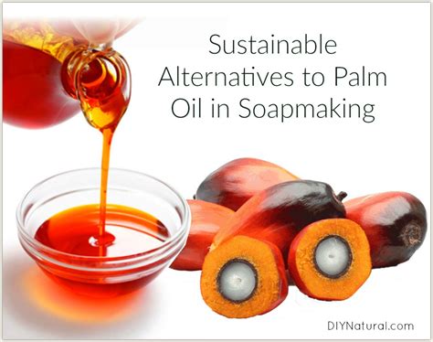 Sustainable Alternatives To Palm Oil In Soap Making Diy Natural