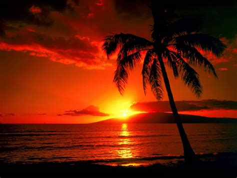 Island Sunset Wallpapers Hd Wallpapers
