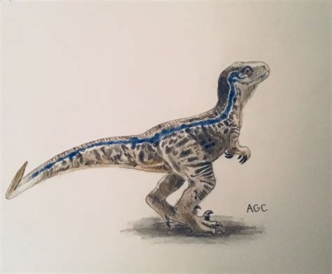 Pin By Luna Jeancon On Blue♥ Velociraptor Drawing Blue Jurassic