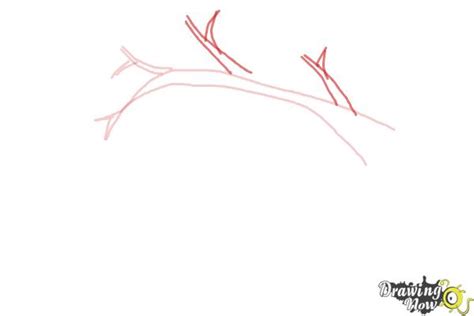 Skulls are the original memento mori and have been used as decor for thousands of years. How to Draw a Beehive - DrawingNow