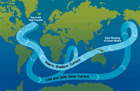 Ocean Currents Modeling The Global Conveyor Belt In