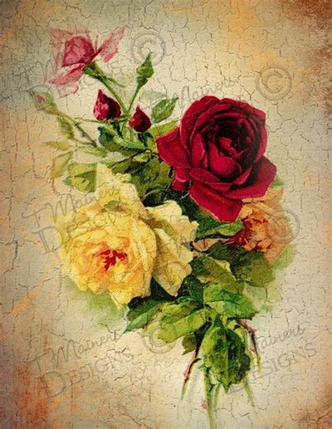 Vintage Rose 6 Print Printable Art Lovely Aged By Tmainersdesigns