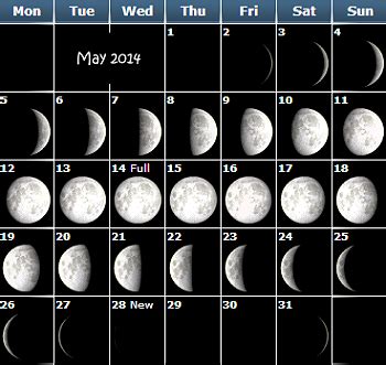 Phases of the Moon Calendar for kids 2013 - Lunar