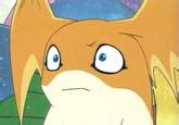 Gatomon And Hikari Digimon Know Your Meme