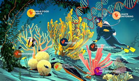 What provides a home for more than 25% of ocean life but only takes up 1% of the ocean floor? Survey Ecosystem Health On A Virtual Coral Reef