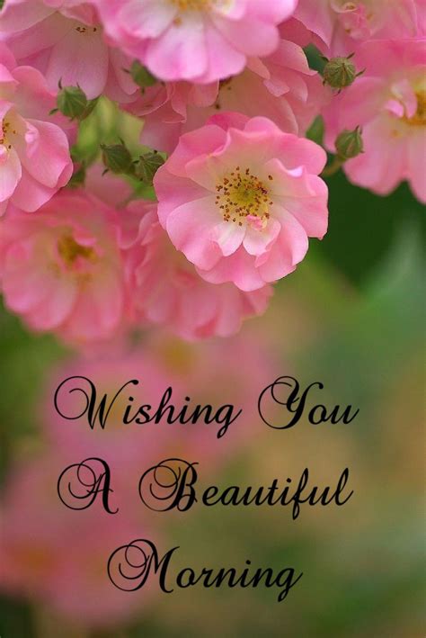 Pin by Lara on Morning wishes | Good morning beautiful flowers, Good morning roses, Good morning 