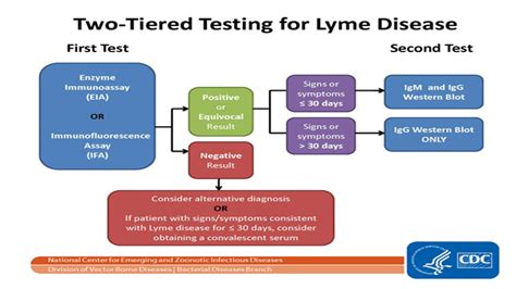 Lyme Disease National Collaborating Centre For Infectious Diseases