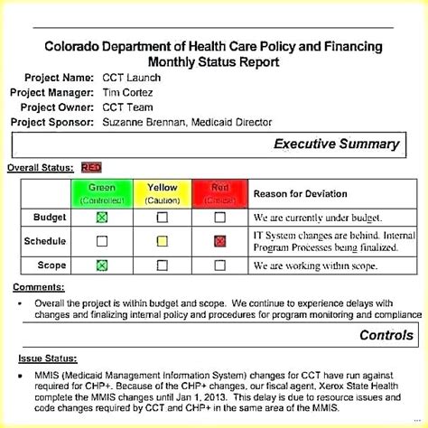 Project Monthly Status Report Template 7 Templates Example