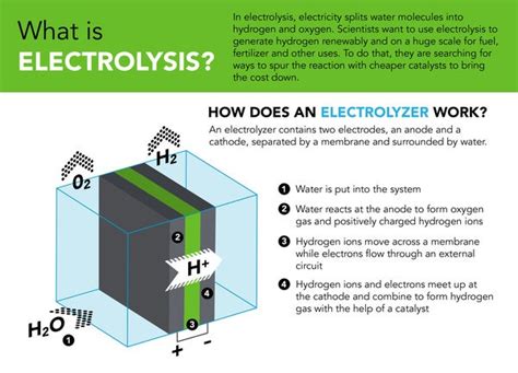 Electrolyzers 101 The Future Of Green Hydrogen Production