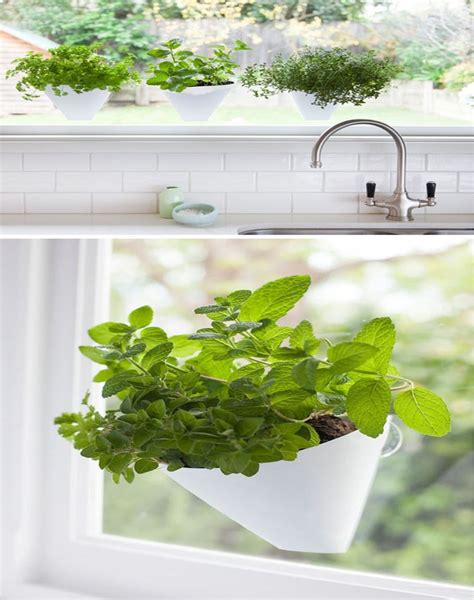 12 Fresh Ideas To Spice Up Your Kitchen With Herbs Garden