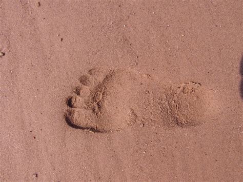 Footprint Barefoot Track Free Photo On Pixabay Pixabay