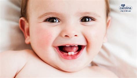 Quando Nascem Os Primeiros Dentes Do Bebê Saiba Tudo Carolina Baby