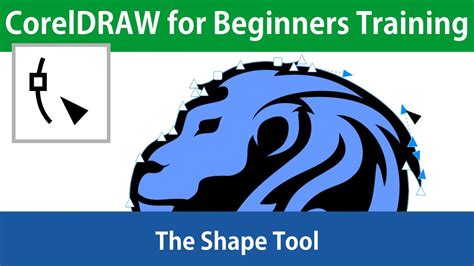 Coreldraw For Beginners The Shape Tool Tutorial Youtube