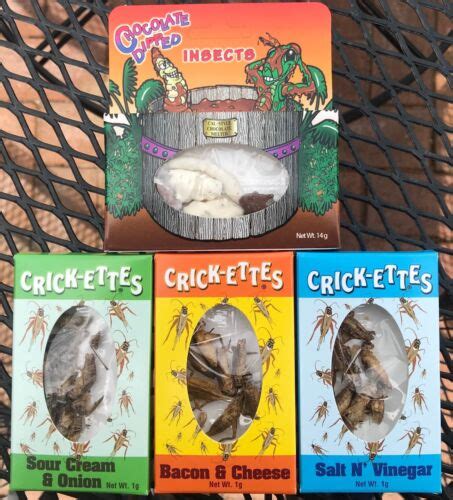 Hotlix Crick Ettes T Set 4 Pack Sampler Insects Bugs Crickets