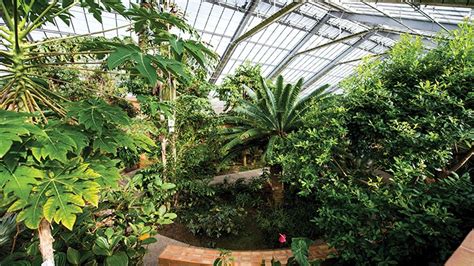 Conservatory At Matthaei Botanical Gardens Greenhouse Management