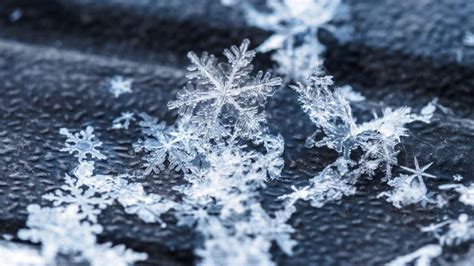 Why Snowflakes Come In Beautiful Different Shapes