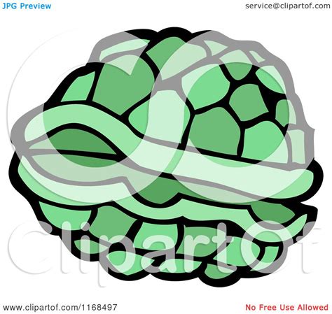 Cartoon Of A Turtle Shell Royalty Free Vector