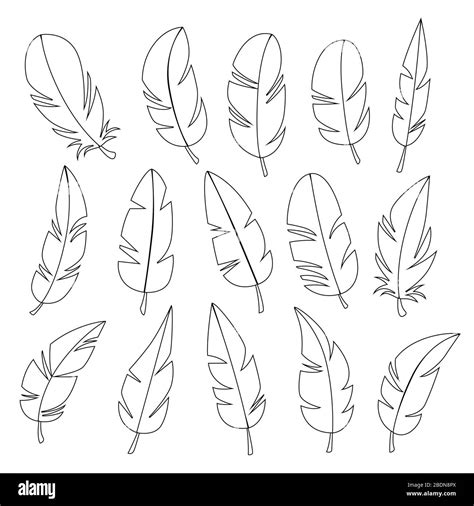 Feathers Of Different Shapes Vector Set Outline Icons Set Flat Vector