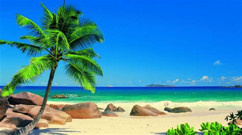 Exotic Beach Wallpaper 70 Pictures