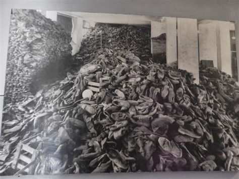 Prisoners were transported in cattle cars and served as slave labor for the new colony's railway conditions on the island continued to deteriorate and prisoners starved to death or committed. Photos of the Holocaust: Auschwitz 1 Photos