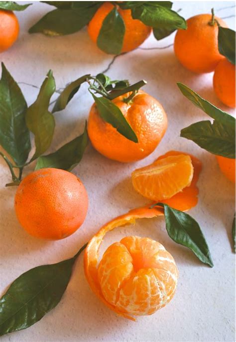 ✓ free for commercial use ✓ high quality images. Hungry Couple: Satsuma Mandarin Orange Scones